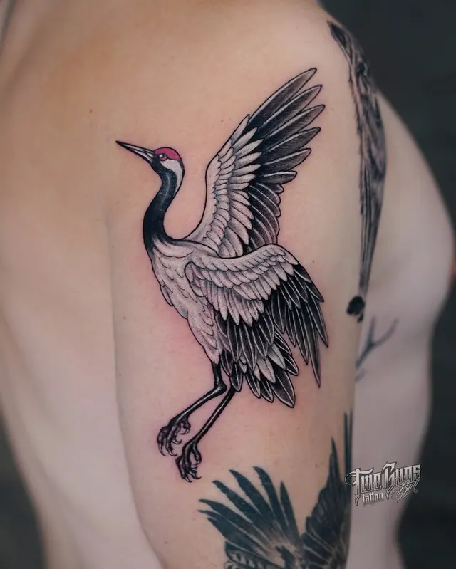 Colour crane in flight tattooed on the upper arm